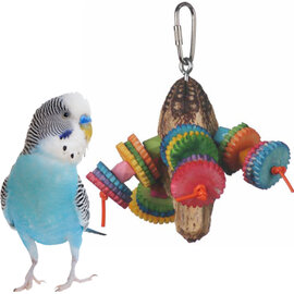 Perky Parrot Zip-a-de-do-dah 5 x 4 x 4"