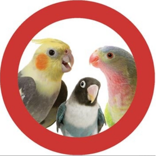 SUPER BIRD CREATIONS Perky Parrot Toys Kick Ball Jr. - 7.5" x 3"