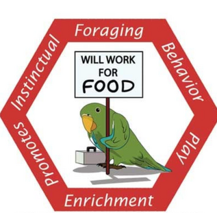Perky Parrot Cheers Sr. 8.5 x 3.5 x 3.5"