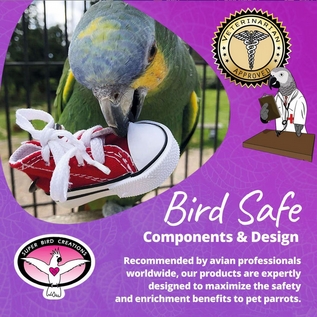 SUPER BIRD CREATIONS Super Bird SB-1059 Sneaker/Tennis Shoe- Each Assorted Colors