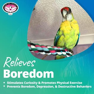 SUPER BIRD CREATIONS Super Bird SB-324 BUNGEE WITH BELL-MEDIUM-COTTON-3/4 x 66"