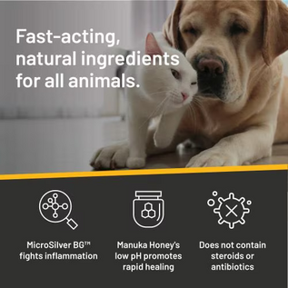 ABSORBINE Silver Honey Rapid Ear Care Vet Strength Pet Wipes w/ Manuka Honey & Microsilver BG 50ct