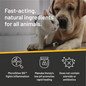 ABSORBINE Silver Honey Rapid Ear Care Vet Strength Pet Wipes w/ Manuka Honey & Microsilver BG 50ct