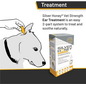 ABSORBINE Silver Honey Rapid Ear Care Vet Strength Ear Treatment Kit 10 Day Treatment