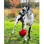 Jolly Romp-N-Roll Large Red 8"
