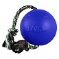 Jolly Pets Romp-N-Roll Large Blue 8"