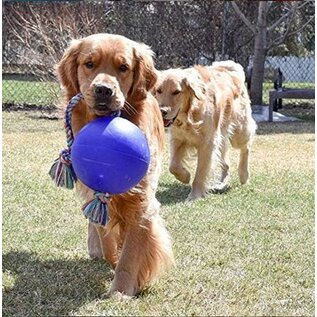 Jolly Pets Romp-N-Roll Large Blue 8"