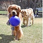 Jolly Pets Romp-N-Roll Large Blue 8"