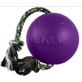 Jolly Pets Romp-N-Roll Ball Large 8" Light Purple (Grape Scent)