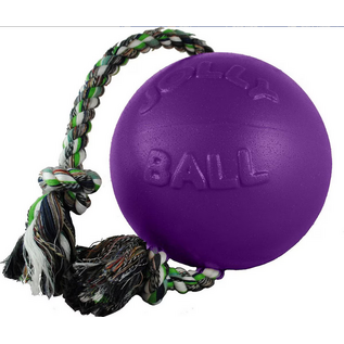 Jolly Pets Romp-N-Roll Ball Large 8" Light Purple (Grape Scent)