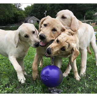 Jolly Pets Romp-N-Roll Ball Large 8" Light Purple (Grape Scent)