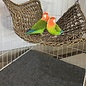 A&E CAGE COMPANY A&E Happy Beaks 14"x24" Rectangle Woven Natural Seagrass Vine Mat