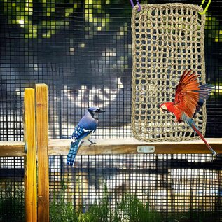 A&E CAGE COMPANY A&E Happy Beaks 14"x24" Rectangle Woven Natural Seagrass Vine Mat