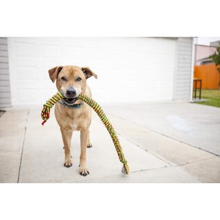 MAMMOTH MAMMOTH FLOSSY CHEWS SNAKEBITER COLORED ROPE ASSORTED COLORS 34"