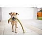 MAMMOTH MAMMOTH FLOSSY CHEWS SNAKEBITER COLORED ROPE ASSORTED COLORS 34"