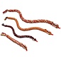 MAMMOTH MAMMOTH FLOSSY CHEWS SNAKEBITER COLORED ROPE ASSORTED COLORS 34"