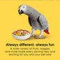 KAYTEE FIESTA PARROT FOOD 4.5 lb.