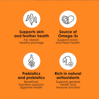 KAYTEE FIESTA PARROT FOOD