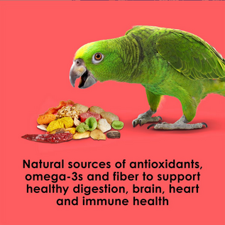 KAYTEE FIESTA PARROT FOOD 4.5 lb.