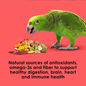 KAYTEE FIESTA PARROT FOOD 4.5 lb.