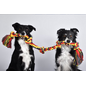MAMMOTH FLOSSY CHEWS COLOR 5 KNOT ROPE TUG 72"