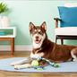 MAMMOTH MAMMOTH KNOT TUG W/TENNIS BALL 20"