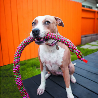 MAMMOTH MAMMOTH FLOSSY CHEWS SNAKEBITER COLORED ROPE 42"