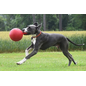Jolly Pets Tug-N-Toss Red 6"