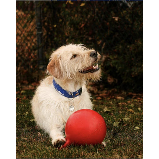 Jolly Pets Tug-N-Toss Blue 6"