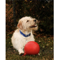 Jolly Pets Tug-N-Toss Blue 6"