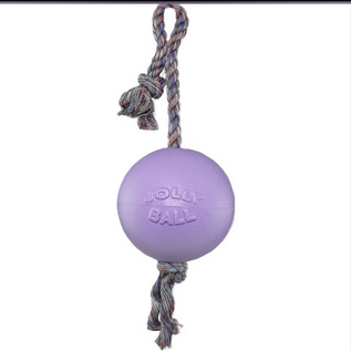 Jolly Pets Romp-N-Roll Purple 4.5"