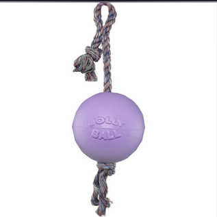 Jolly Pets Romp-N-Roll Purple 6"