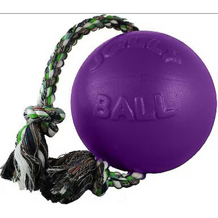 Jolly Pets Romp-N-Roll Purple 6"