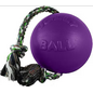 Jolly Pets Romp-N-Roll Purple 6"
