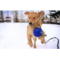 Jolly Pets Romp-N-Roll Purple 6"