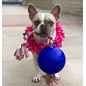 Jolly Pets Romp-N-Roll Purple 6"