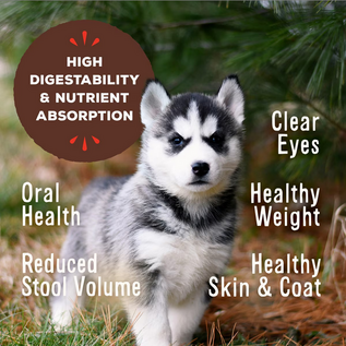 PRIMAL Primal Freeze Dried Raw Dog Food Pronto, Puppy Chicken, Complete & Balanced Meal Premium,  Grain Free, High Protein, 7 oz