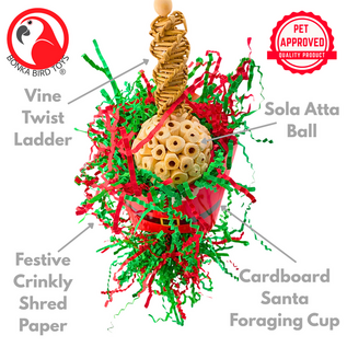 2878 Crinkle Claus Forager