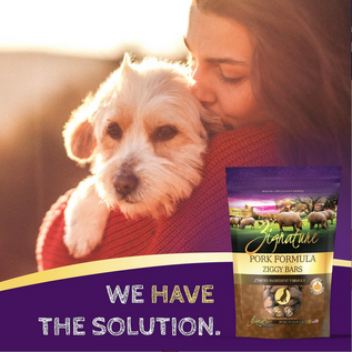 ZIGNATURE DOG ZIGGY BAR GRAIN FREE PORK FORMULA 12OZ