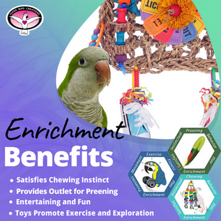 SUPER BIRD CREATIONS Super Bird Creations SB-1265 Movie Night 11 x 9 x 2"