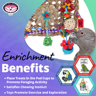 SUPER BIRD CREATIONS Super Bird Creations SB-1266 Buffet Wall 12 x 10 x 3"