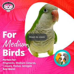 SUPER BIRD CREATIONS Super Bird Creations SB-1266 Buffet Wall 12 x 10 x 3"