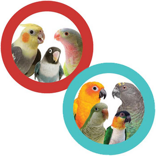 SUPER BIRD CREATIONS Super Bird SB-1253 Dangler Delight 10" x 3"