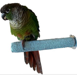 Polly Pastel Perch - Small - 6" 1" Dia. - Feather Weight #50100