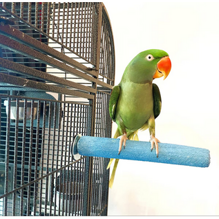 POLLY'S PASTEL PERCH-LARGE LONG-14" #50200