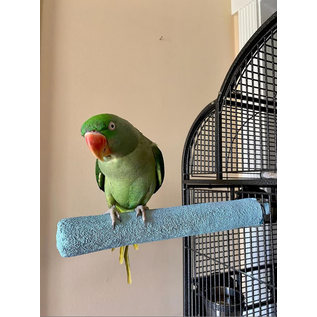 POLLY'S PASTEL PERCH-EXTRA LARGE  LONG-14" #50220