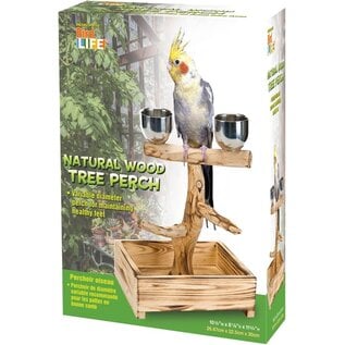 PENN-PLAX Bird-Life Natural Wood Tree Perch for Small and Medium Birds 11-Inch