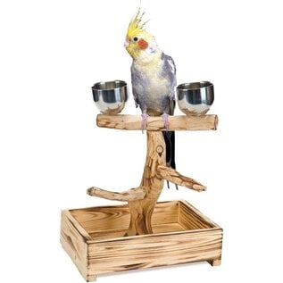 PENN-PLAX Bird-Life Natural Wood Tree Perch for Small and Medium Birds 11-Inch