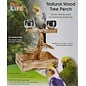 PENN-PLAX Bird-Life Natural Wood Tree Perch for Small and Medium Birds 11-Inch