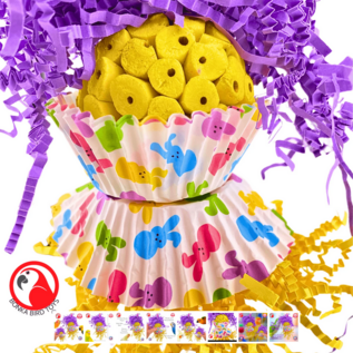 1030 Hoppy Easter Bird Toy